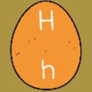  Upper & Lower Eggs H