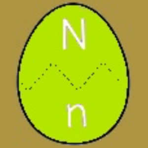  Upper & Lower Eggs N