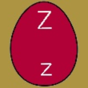  Upper & Lower Eggs Z