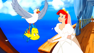  Walt डिज़्नी Screencaps - Scuttle, फ़्लॉन्डर, अशुद्धि & Princess Ariel
