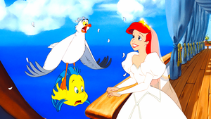  Walt डिज़्नी Screencaps - Scuttle, फ़्लॉन्डर, अशुद्धि & Princess Ariel