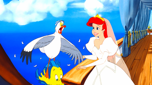 Walt disney Screencaps - Scuttle, menggelepar & Princess Ariel