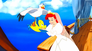  Walt ডিজনি Screencaps - Scuttle, রাঘববোয়াল & Princess Ariel