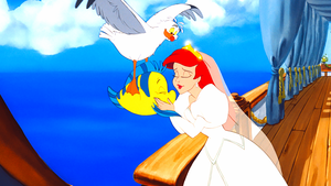  Walt Disney Screencaps - Scuttle, platessa, passera pianuzza & Princess Ariel