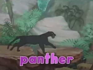 pantera, panther