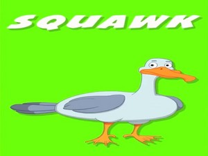  squawk