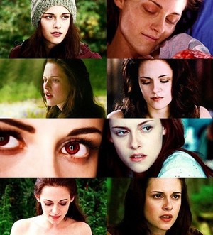 Bella 天鹅 Cullen