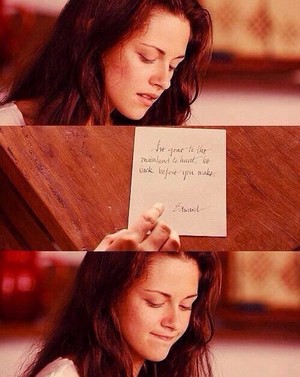  Bella हंस Cullen