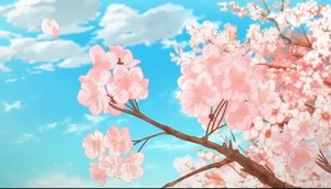  樱桃 blossom 🌸