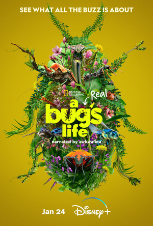  Disney+ and National Geographic: A Real Bug’s Life (2024)