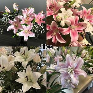 flores ~ Lilies