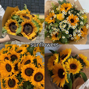  flores ~ Sunflowers
