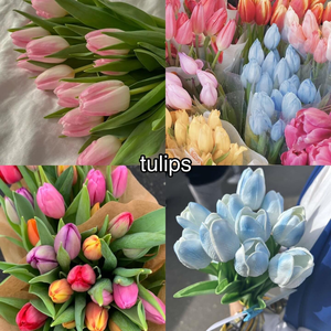  flores ~ Tulips