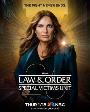  Law and Order: SVU Season 25 Poster