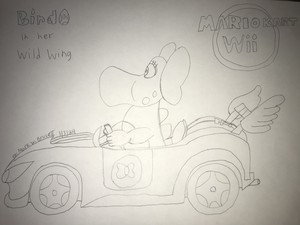  My newest drawing of Birdo in her Wild Wing