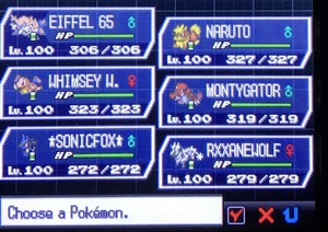  My team in Pokemon White 2