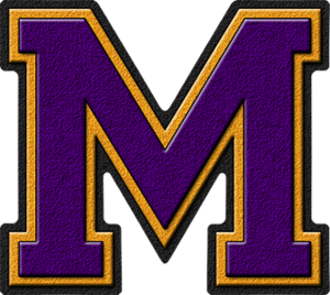  Purple & goud Varsity Letter M