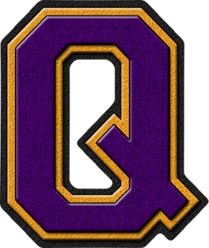  Purple & oro Varsity Letter Q