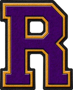  Purple & ginto Varsity Letter R