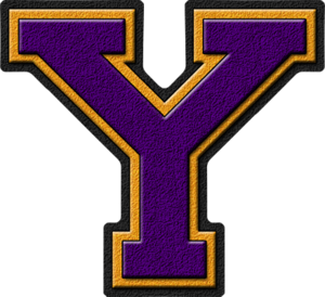  Purple & goud Varsity Letter Y