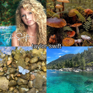 Taylor Swift Album Aesthetic