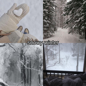  Winter Weather ~ Snowy