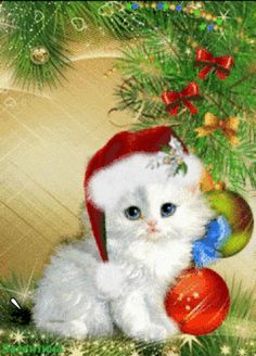  Wishing te A Beautiful Christmas,Kat and Lion💛