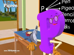  pigeon