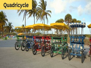  quadricycle
