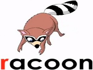  racoon