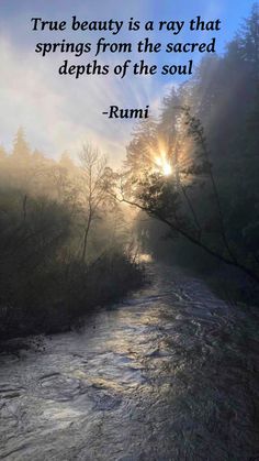  Beautiful Rumi citations ♥