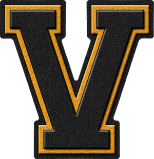  Black & ginto Varsity Letter V