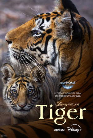  Disneynature's Tiger | Promotional poster