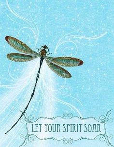  Dragonfly citations For My Sunshine Queenie 🌸