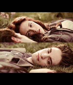  Edward and Bella - Twilight meadow scene