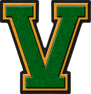  Green & ゴールド Varsity Letter V
