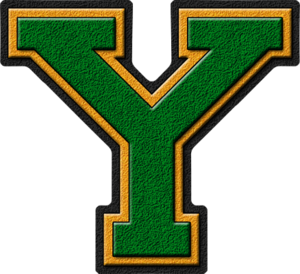 Green & emas Varsity Letter Y