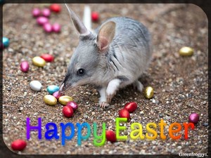  Happy Easter From Australia