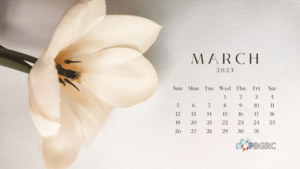  March(Month) fondo de pantalla