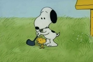  snoopy and Woodstock♡