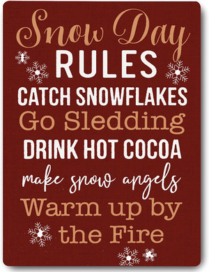  Snow दिन Rules: ❄️
