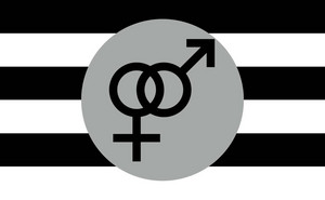  Straight Pride Flag