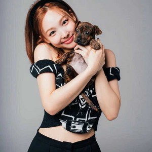  Twice: The anak anjing, anjing Interview