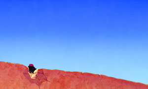  Walt ディズニー Screencaps – Prince アラジン