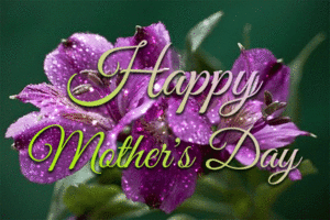  Happy Mother's 日 🤍🌹