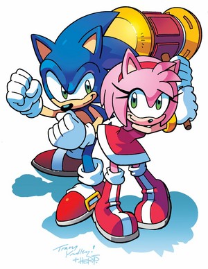  Sonic and Amy Rose