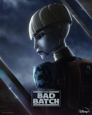  Asajj Ventress | stella, star Wars: The Bad Batch | Promotional poster