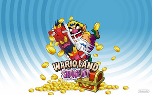 Wario Land: Shake It! (Game)