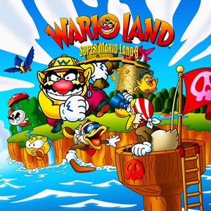  Wario Land: Super Mario Land 3