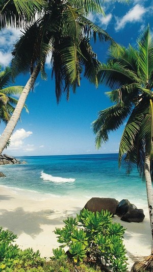  beach, pwani vibes!🌊🌴🌅🐚🦋